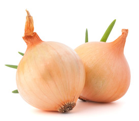 Fototapeta premium Onion vegetable