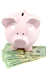 piggy bank with dollars isolated on white background