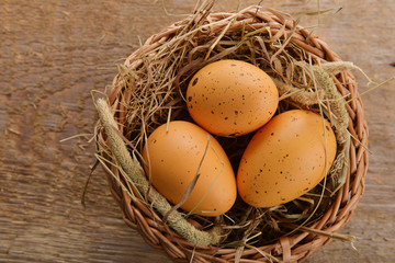 chicken eggs