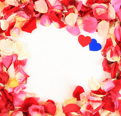 frame of beautiful petals of roses