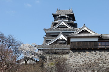 春の熊本城　天守閣と本丸御殿
