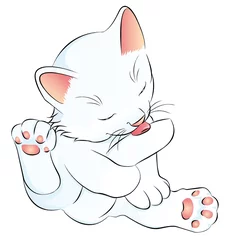 Photo sur Plexiglas Chats chaton blanc nettoie