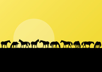Fototapeta na wymiar Konie gospodarskie silhouettes tła ilustracji krajobraz