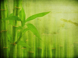 grunge bamboo background - obrazy, fototapety, plakaty