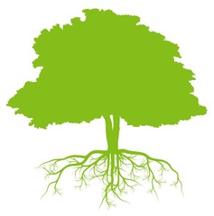 Tree with roots background ecology vector