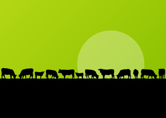 Bovins de boucherie et troupeau de vaches laitières dans un paysage de campagne malade