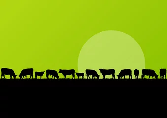 Wall murals Lime green Beef cattle and milk cow herd in countryside field landscape ill