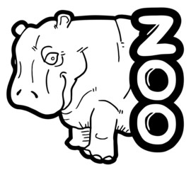 Zoo hippopotamus