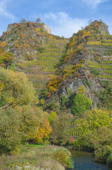 das Ahrtal bei Mayschoss,auf dem Weinberg die Ruine Saffenburg