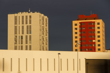 Edificios altos al amanecer