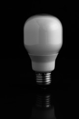 Energy saving light bulb standing on black background