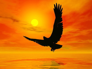 Naklejka na ściany i meble Eagle by sunset - 3D render