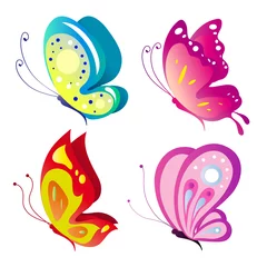 Crédence de cuisine en verre imprimé Papillon papillon, vecteur de papillons