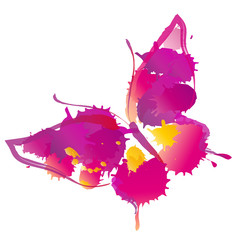 butterfly,butterflies vector