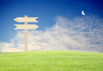 Wood direction sign with green grass and blue sky background