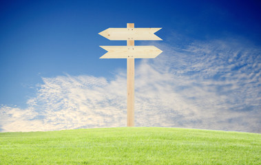 Wood direction sign with green grass and blue sky background
