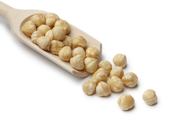 Fresh Macadamia nuts on a spoon