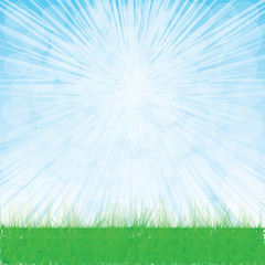 Naklejka premium Summer illustration whit grass.