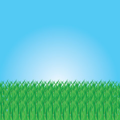 Illustration Of Summer Grass