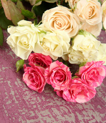 Beautiful colorful roses close-up, on color background