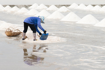 Salt pan harvest