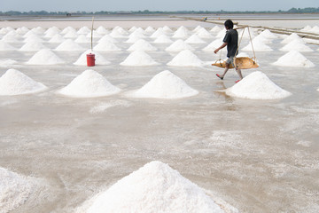 Salt pan harvest