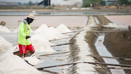 Salt pan harvest