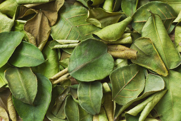 makrut lime leaves, dry herbs