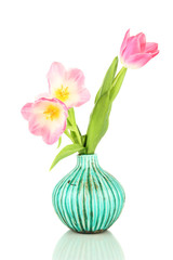 Fototapeta na wymiar Pink tulips in bright vase, isolated on white