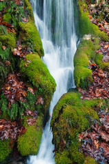 Small waterfall between moss covered rocks