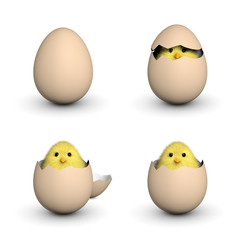 Yellow Chick Peekaboo © ErickN