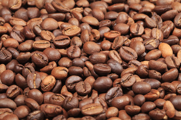 Coffee Bean Scattered