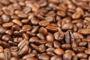 Fototapeta premium Coffee Bean Scattered