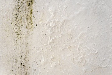dirty background white green wall