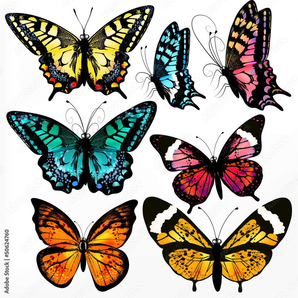 Poster colorful collection of vector realistic butterflies for design