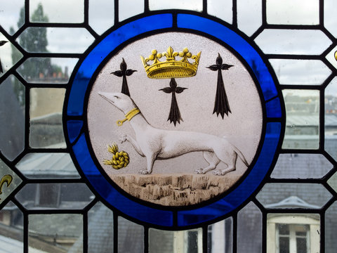 comadreja, heraldico, bastillo de blois