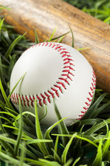 New White Baseball in green grass