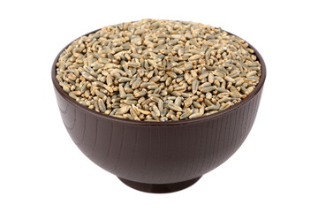 green oat grain