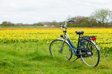 Obraz na płótnie Canvas pomarańczowy rower z Holandii na ...