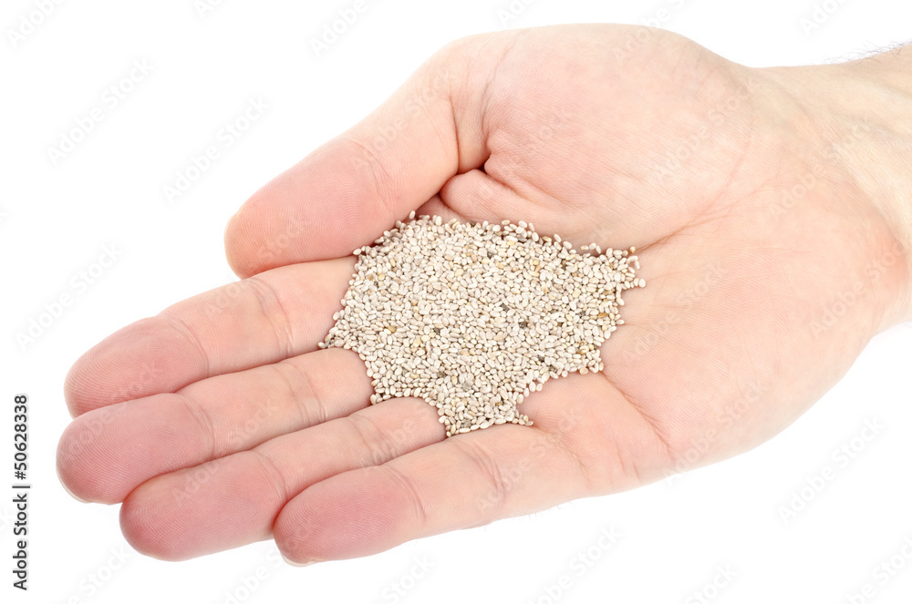 Sticker Hand Holding Chia Seeds