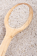 Chia Seeds in a Wooden Spoon
