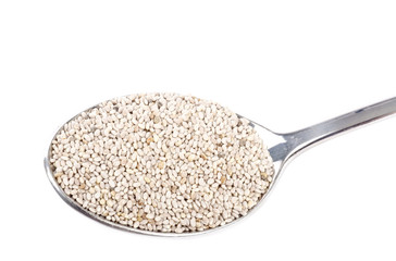 Spoonful of Chia Seeds