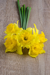 Jonquil flowers