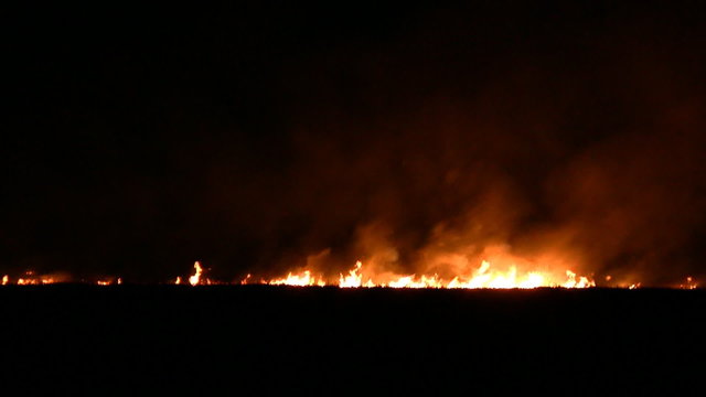 Night fire in the field