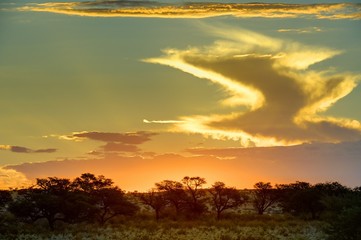 Kalahari desert Landsacape, dusk at Grootkolk