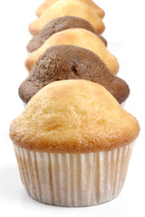 Muffins in line
