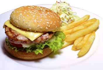 hamburger with french fries