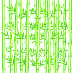 Background from bamboo