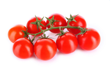 Cherry tomatoes on a branch isolated on white