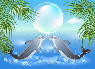 Dolphins leaps from water
